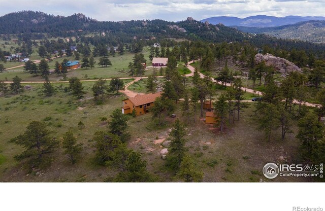 1278 Cucharas Mountain Dr, Livermore, CO 80536 - photo 31