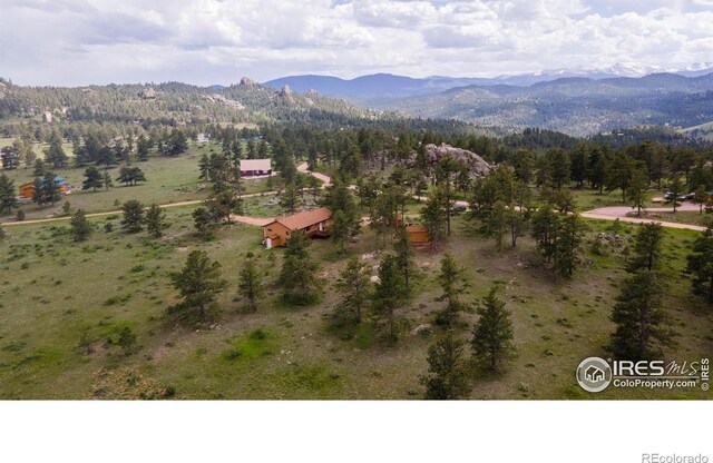 1278 Cucharas Mountain Dr, Livermore, CO 80536 - photo 33