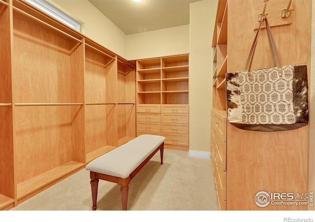 8406 Spinnaker Bay Dr, Windsor, CO 80528 - walk in closet with light carpet