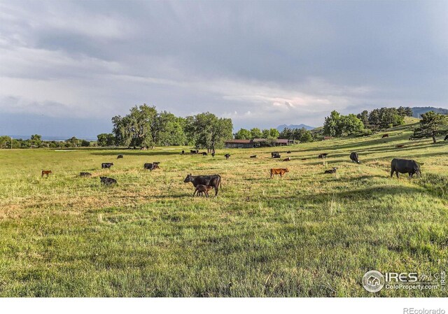 8241 N Foothills Hwy, Boulder, CO 80302 - photo 26