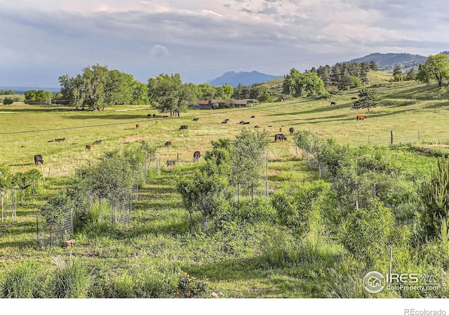 8241 N Foothills Hwy, Boulder, CO 80302 - photo 29