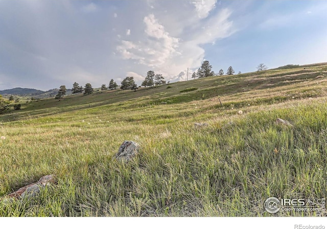 8241 N Foothills Hwy, Boulder, CO 80302 - photo 31