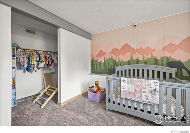 2821 9th Pl SW, Loveland, CO 80537 - photo 22