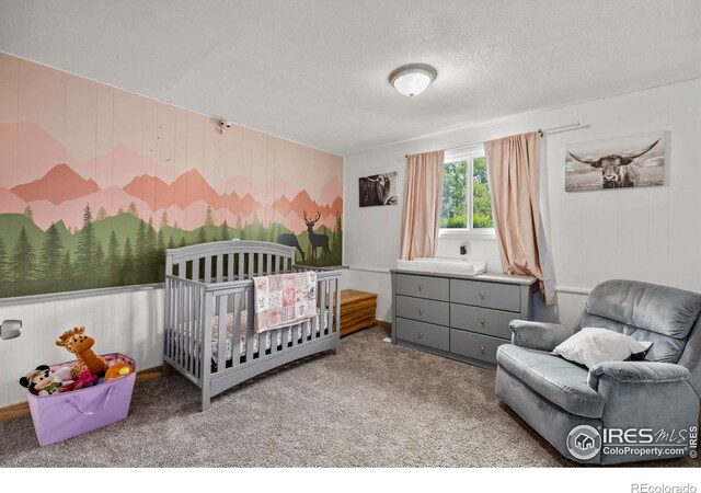2821 9th Pl SW, Loveland, CO 80537 - photo 21