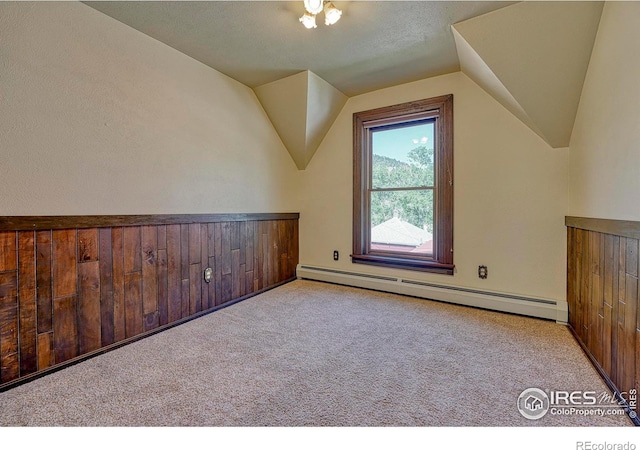 1906 Miner St, Idaho Springs, CO 80452 - bonus room with baseboard heating, lofted ceiling, and carpet floors