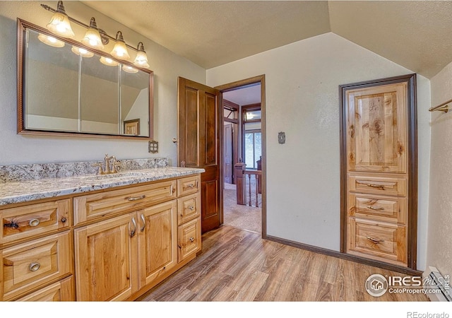 1906 Miner St, Idaho Springs, CO 80452 - bathroom with wood finished floors, vanity, vaulted ceiling, and a textured ceiling
