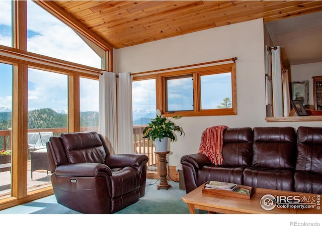 118 Alpine Dr, Estes Park, CO 80517 - living room featuring lofted ceiling, wood ceiling, and carpet