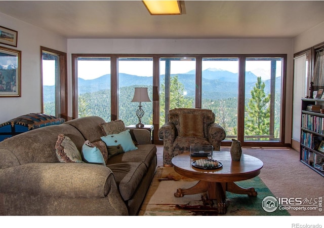 118 Alpine Dr, Estes Park, CO 80517 - living area featuring carpet floors, a mountain view, and plenty of natural light