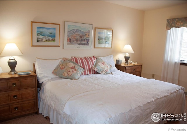 118 Alpine Dr, Estes Park, CO 80517 - view of carpeted bedroom