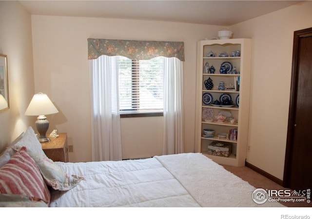 118 Alpine Dr, Estes Park, CO 80517 - carpeted bedroom featuring baseboards