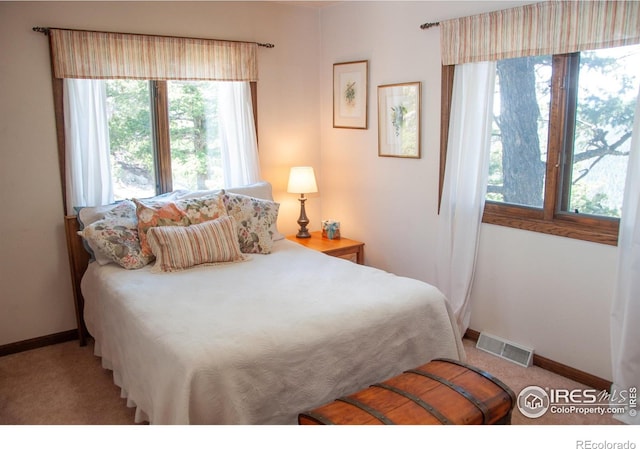 118 Alpine Dr, Estes Park, CO 80517 - carpeted bedroom featuring baseboards