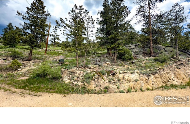 118 Alpine Dr, Estes Park, CO 80517 - view of local wilderness