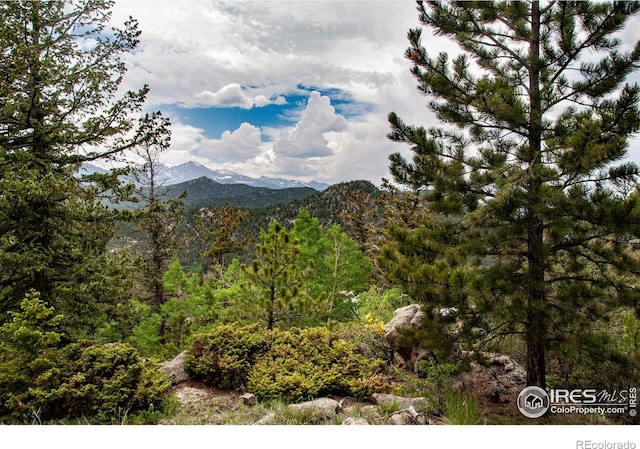 118 Alpine Dr, Estes Park, CO 80517 - mountain view with a forest