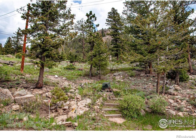 118 Alpine Dr, Estes Park, CO 80517 - view of nature