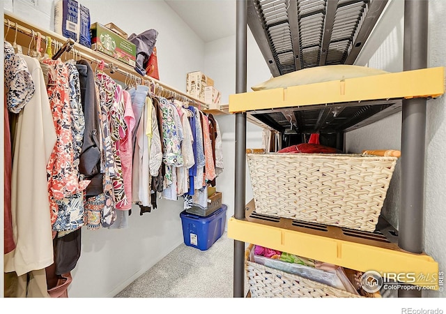 551 Vicot Way Unit D, Fort Collins, CO 80524 - spacious closet with carpet flooring