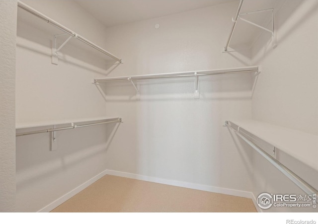 362 Promenade Dr, Superior, CO 80027 - walk in closet with light colored carpet