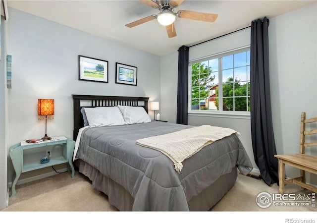4260 Coaldale Dr, Loveland, CO 80538 - photo 18