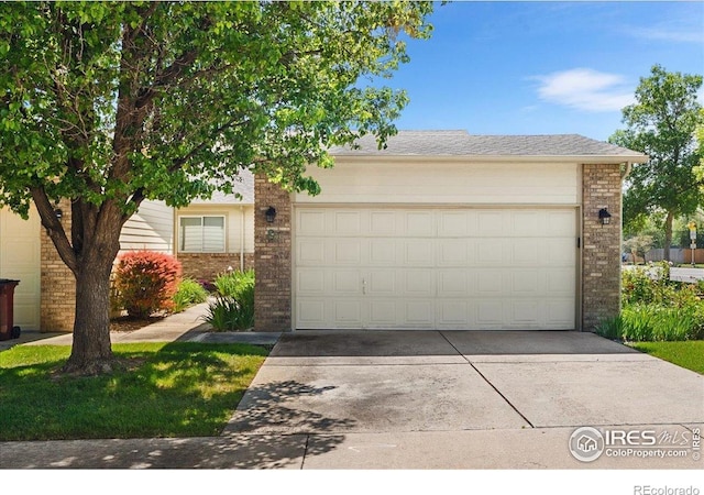 3525 Auntie Stone St Unit 8, Fort Collins, CO 80526 - photo 2