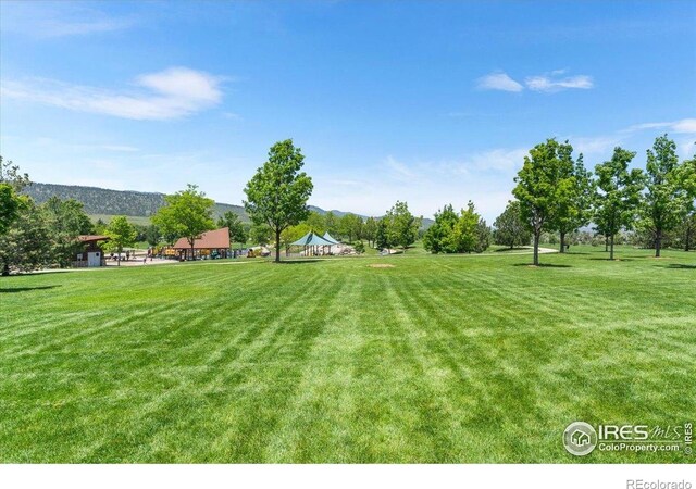 3525 Auntie Stone St Unit 8, Fort Collins, CO 80526 - photo 38
