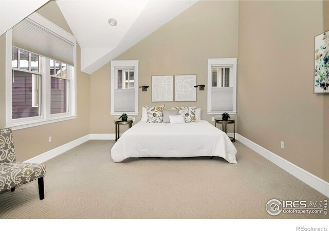 832 Neon Forest Cir, Longmont, CO 80504