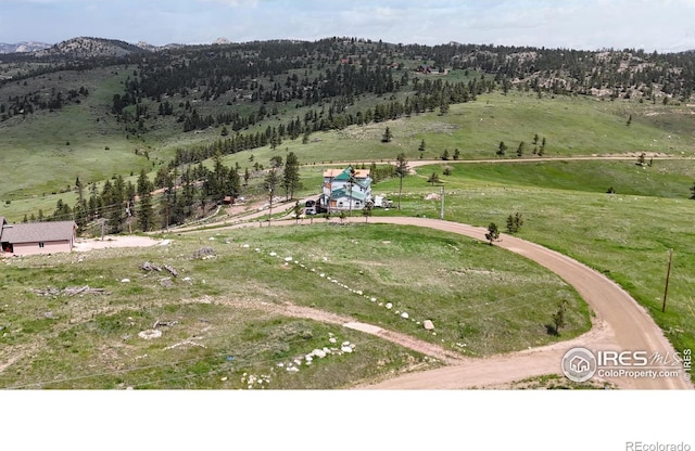 181 Meadow Mountain Dr, Livermore, CO 80536 - photo 8