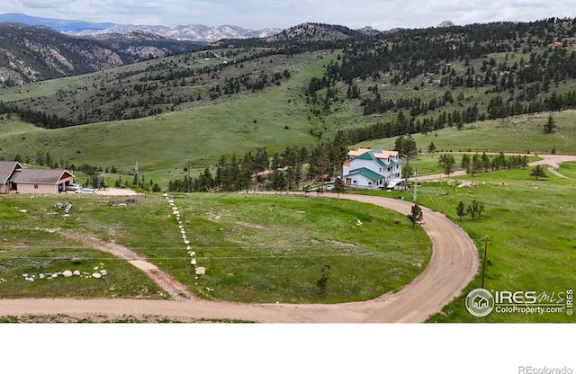 181 Meadow Mountain Dr, Livermore, CO 80536 - photo 13