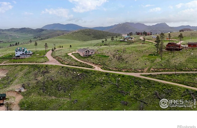 181 Meadow Mountain Dr, Livermore, CO 80536 - photo 15