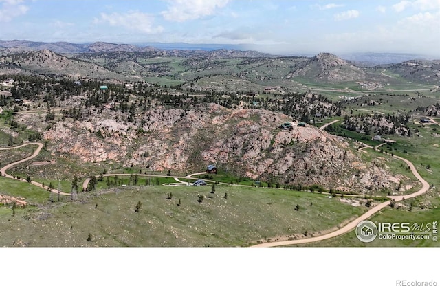 181 Meadow Mountain Dr, Livermore, CO 80536 - photo 24