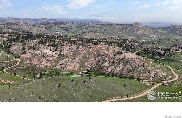 181 Meadow Mountain Dr, Livermore, CO 80536 - photo 29