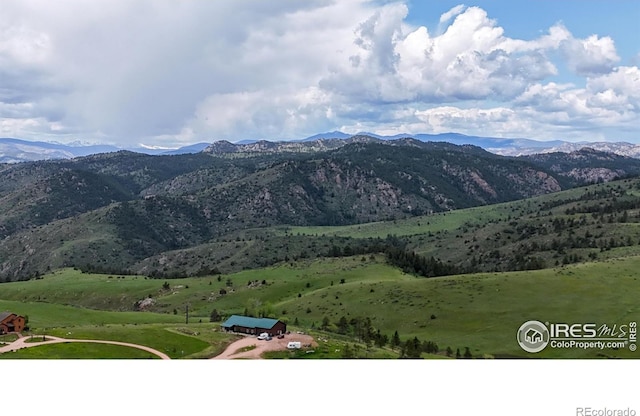 181 Meadow Mountain Dr, Livermore, CO 80536 - photo 31