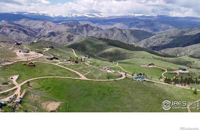 181 Meadow Mountain Dr, Livermore, CO 80536 - photo 34