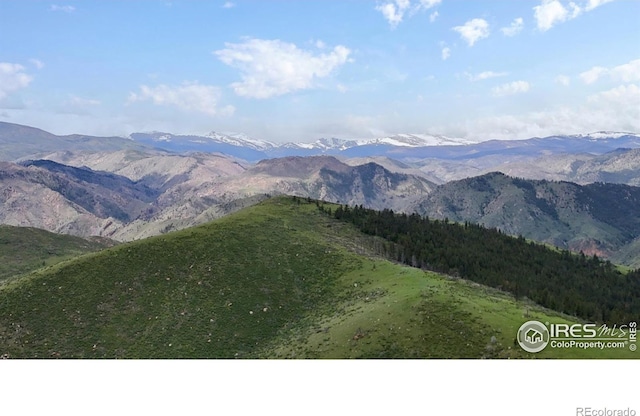 181 Meadow Mountain Dr, Livermore, CO 80536 - photo 35