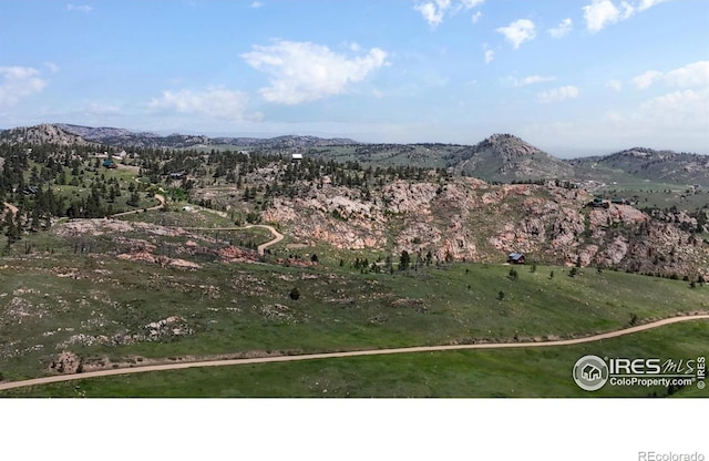 181 Meadow Mountain Dr, Livermore, CO 80536 - photo 37