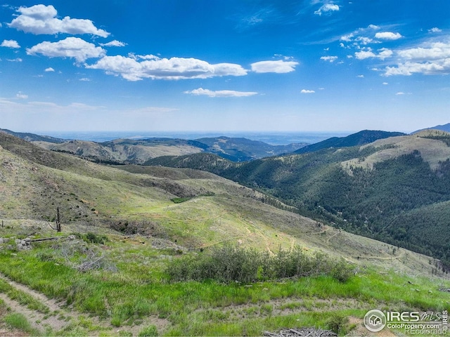 300 Shining Star Trl # A, Boulder, CO 80302