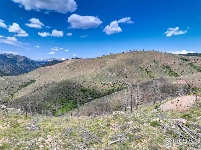 300 Shining Star Trl # A, Boulder, CO 80302