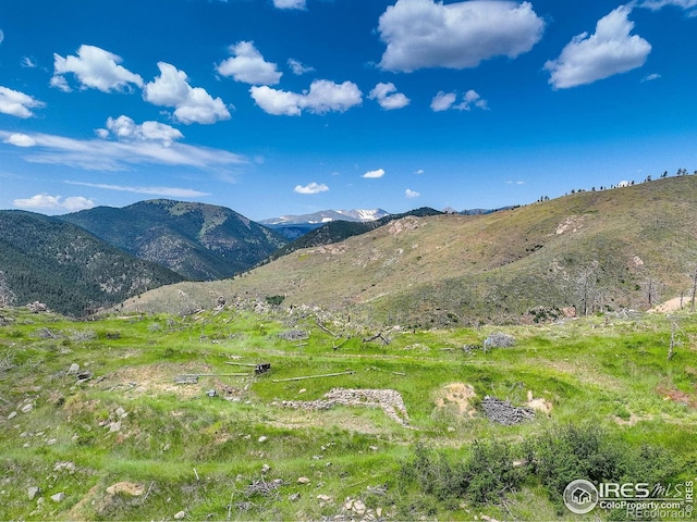 300 Shining Star Trl # A, Boulder, CO 80302