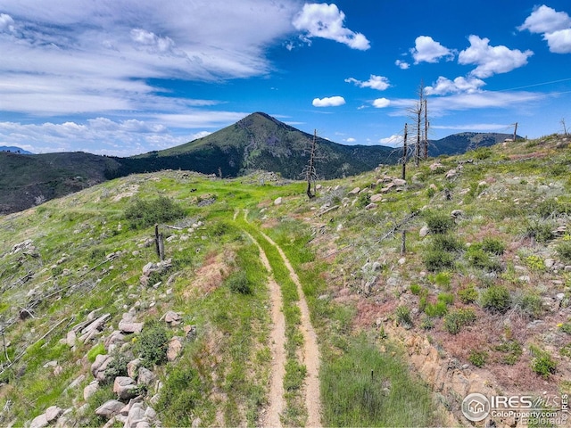 300 Shining Star Trl # A, Boulder, CO 80302