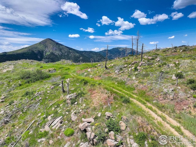 300 Shining Star Trl # A, Boulder, CO 80302