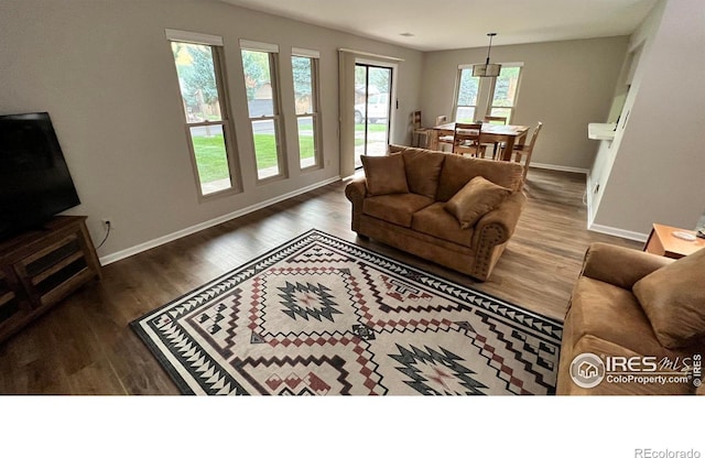 1141 Fairway Club Cir # C3, Estes Park, CO 80517 - living area featuring baseboards and wood finished floors