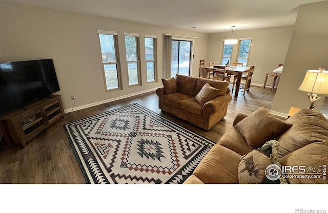 1141 Fairway Club Cir # C3, Estes Park, CO 80517 - living room with baseboards and wood finished floors