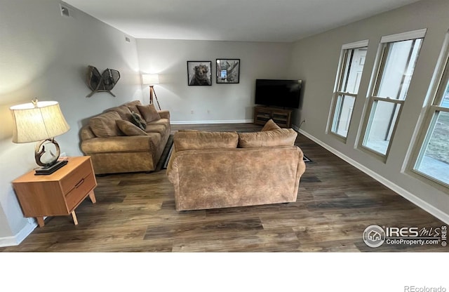 1141 Fairway Club Cir # C3, Estes Park, CO 80517 - living room with dark wood-type flooring