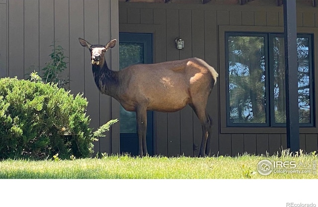 1141 Fairway Club Cir # C3, Estes Park, CO 80517 - exterior view of board and batten siding