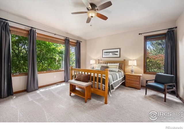 2156 Meander Rd, Windsor, CO 80550 - carpeted bedroom featuring multiple windows and a ceiling fan