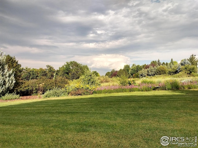 2156 Meander Rd, Windsor, CO 80550 - view of green lawn