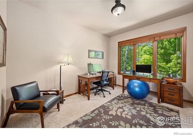 2156 Meander Rd, Windsor, CO 80550 - office featuring baseboards and carpet floors
