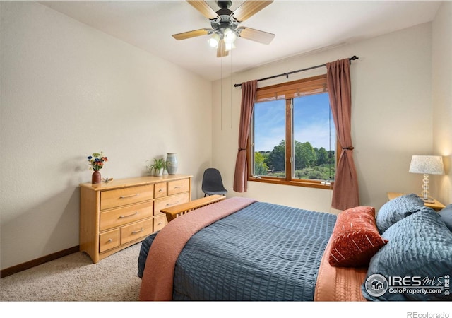 2156 Meander Rd, Windsor, CO 80550 - bedroom with carpet floors and ceiling fan