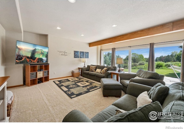 2156 Meander Rd, Windsor, CO 80550 - carpeted living room with recessed lighting and a textured ceiling