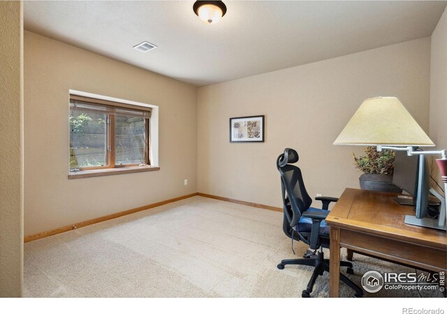 2156 Meander Rd, Windsor, CO 80550 - office space with carpet and baseboards