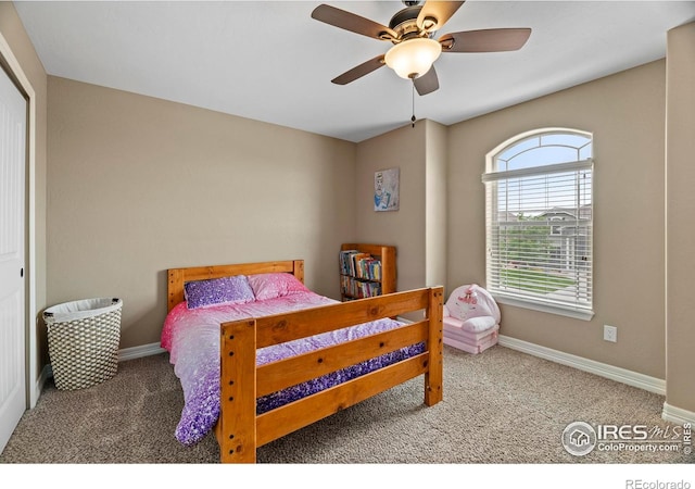 4135 Carroway Seed Dr, Johnstown, CO 80534 - photo 23