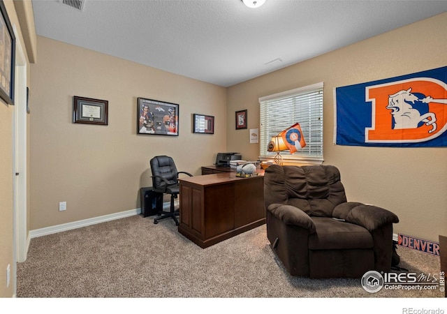 4135 Carroway Seed Dr, Johnstown, CO 80534 - photo 34